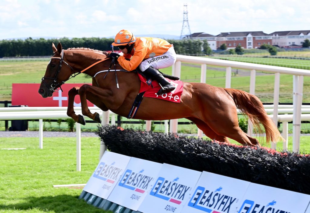 Horse clearing a hurdle at Galway Races. Make sure you clear your 2022 tax hurdles