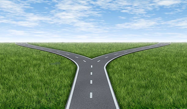 Two roads diverge: Sole Trader or Limited Company?